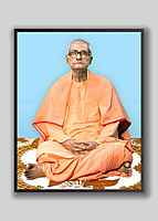 Swami Gitananda - Vice-President (2003 – 14)