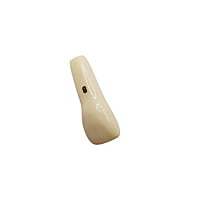 Columbia Dentoform Typodont Ivorine Teeth T-560