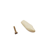 Columbia Dentoform Typodont Ivorine Teeth T-860