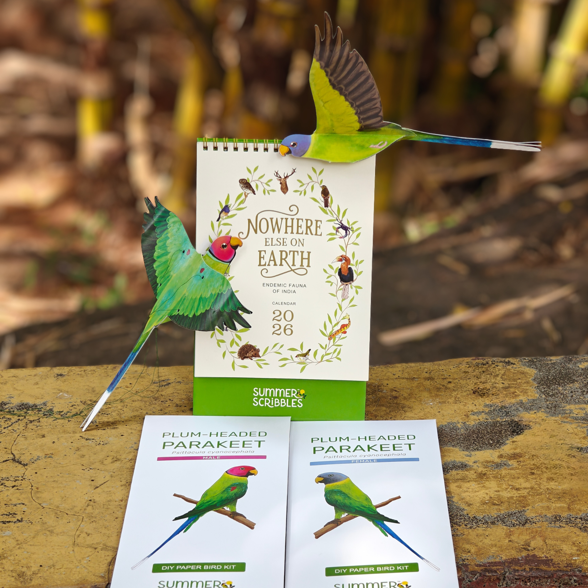 Combo of 2026 Calendar + Parakeet DIY kit