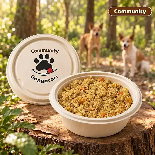 Community