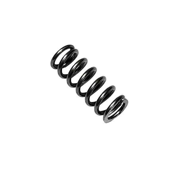 BOSCH – COMPRESSION SPRING – SUITABLE FOR ALL DIESEL VEHICLE FIPS | 2434614020