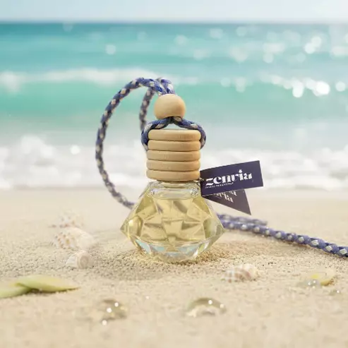 Zenvia COOL WATER Car Hanging Pod (10ml)