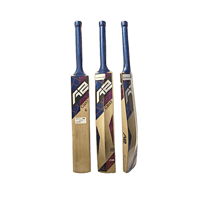 A2 CREST Kashmir willow bat