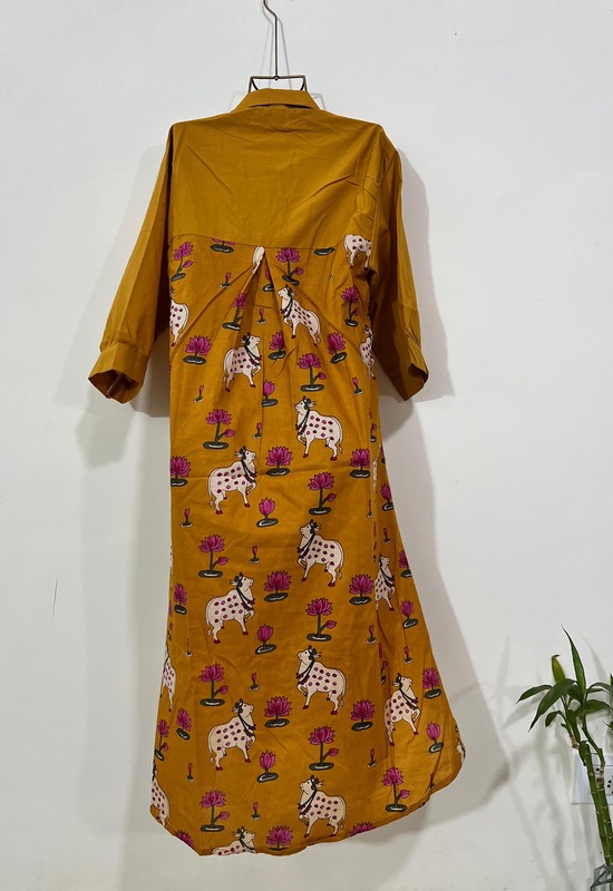 Meera's Button-Down Collared Dress