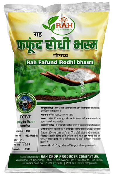 FAFUND RODHI BHASM(800-Gram)