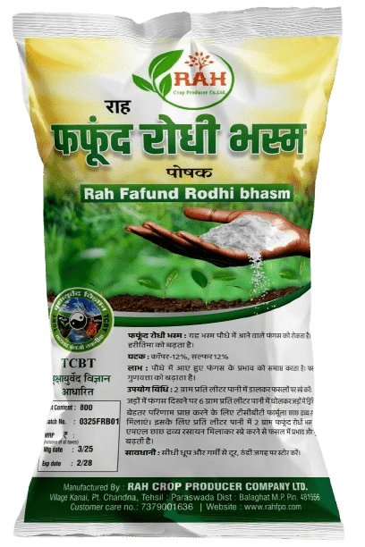 FAFUND RODHI BHASM(800-Gram)