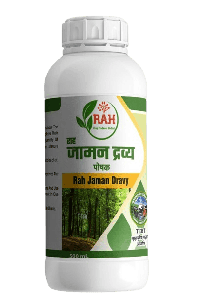 JAMAN DRAVY (500-ML)