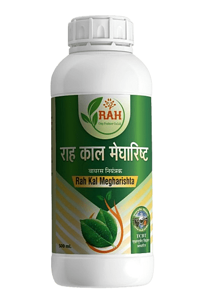 KAL MEGHARISHTA (500-ML)