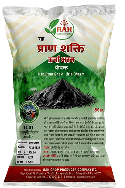 Praan Shakti Urja Bhasm (500-Gram)