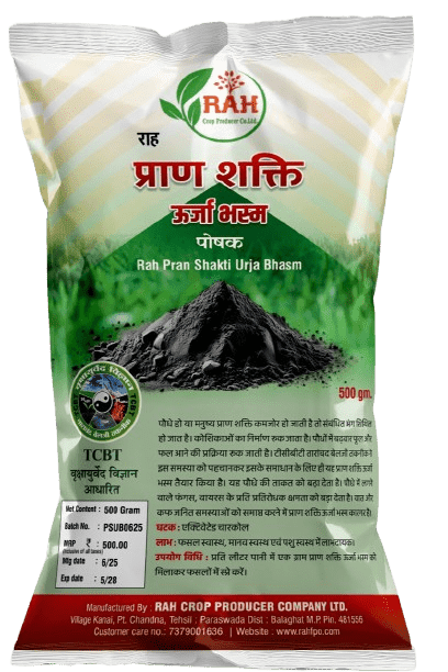 Praan Shakti Urja Bhasm (500-Gram)