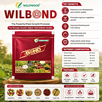 Willowood WILBOND Plant Growth Regulator & Crop Immune Booster | Vetrivel Agro Services