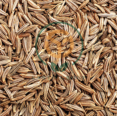 Cumin Seeds