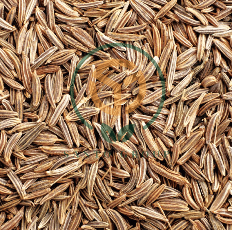 Cumin Seeds