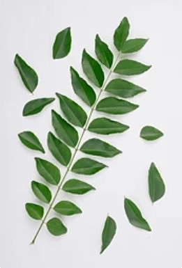 Curry Leaves