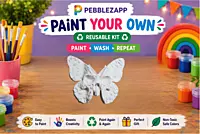 Custom Reusable butterfly DIY Painting Kit- Set of 1