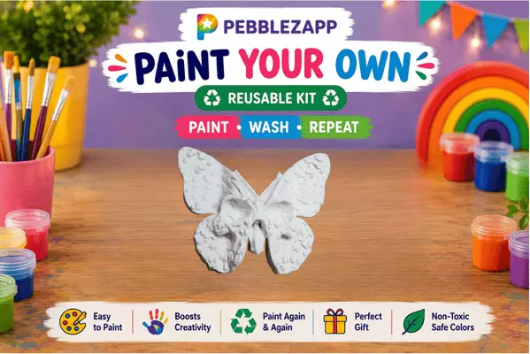 Custom Reusable butterfly DIY Painting Kit- Set of 1