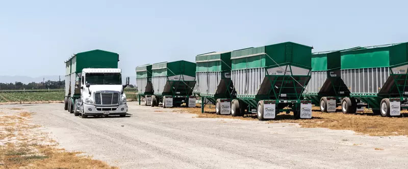 Grain & Paddy Bulk Transport Service