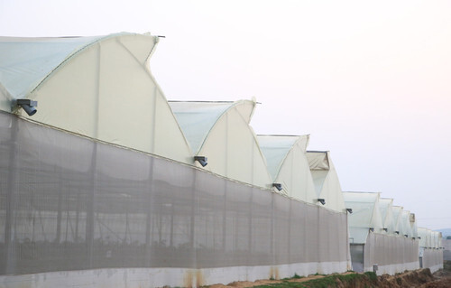 Ecsha - Polyhouse Construction