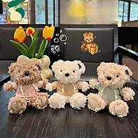 Teddy with hoodie Plush keychain