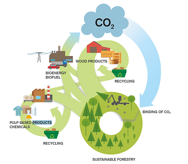 Biomass Supply Chain