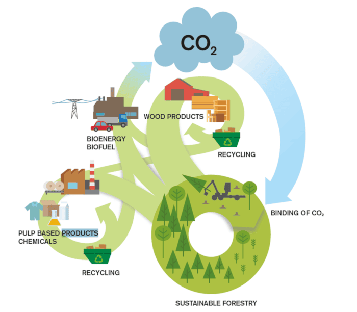 Biomass Supply Chain