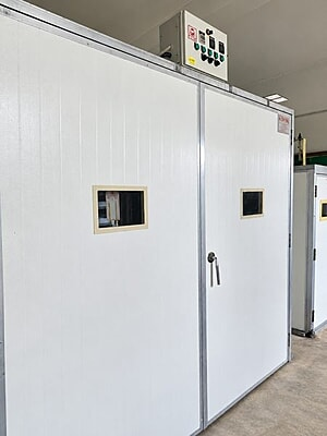 Automatic Commercial Egg Hatcher – 12,240 Eggs (Model IH-12)