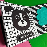 Cuddly Ladybird: Baby’s First Sensory Cloth Book