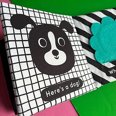 Cuddly Ladybird: Baby’s First Sensory Cloth Book