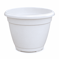4.5 Inch Succulent Plastic Pot | ECSHA