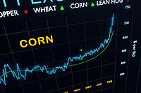 Commodity Trend Analysis & Strategic Market Reporting