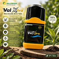 Willowood VALXTRA® Fungicide – Hexaconazole 5% + Validamycin 2.5% SC | Vetrivel Agro Services