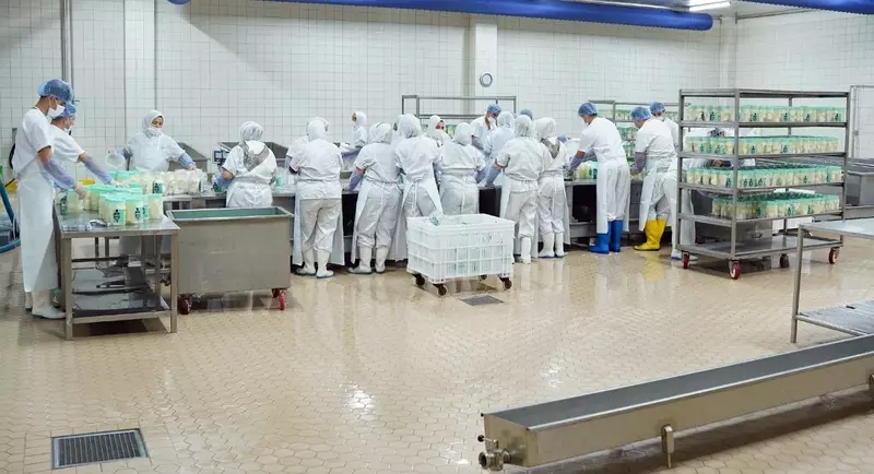 Anti-Skid & Hygienic Flooring for Dairy & Processing Units