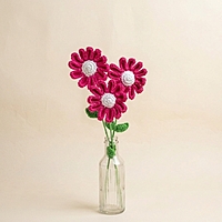Daisy Large Flower Dark Pink