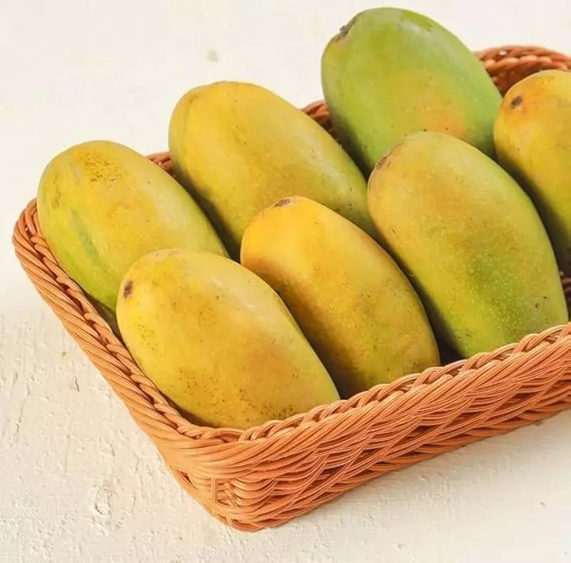 Premium Dasheri Mango