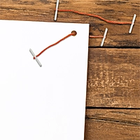 Pack of 100 101mm Plastic End Orange Treasury Tags