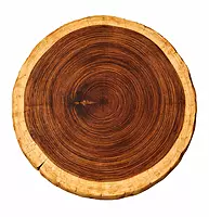 Patria Log Industrial End Table
