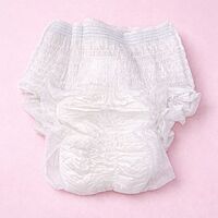 Maternity Pads /Disposable Period Panty - Size L / XL/ XXL - Pack of 1