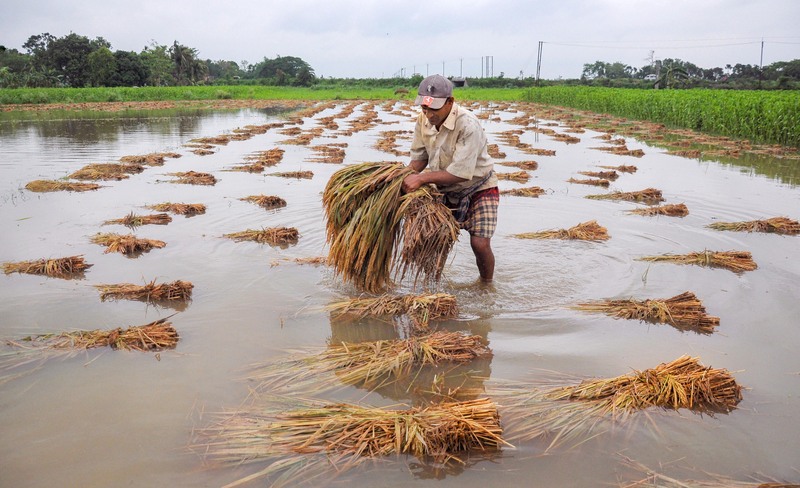 Hailstorm & Cyclone Crop Insurance