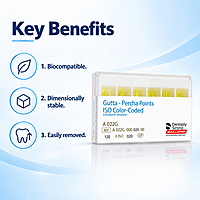 Dentsply Gutta Percha Points 2% Taper – ISO Standard Root Canal Filling Material