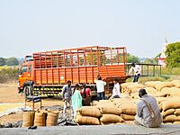 Collection Center to Warehouse Transport Service