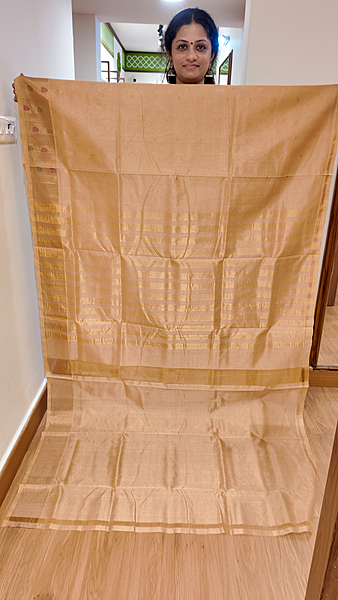 SC 834-T