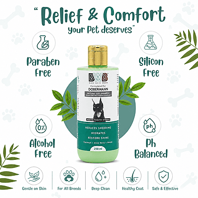 BWB DOBERMANN SHAMPOO