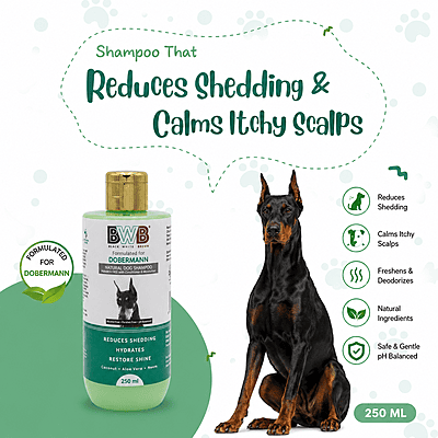 BWB DOBERMANN SHAMPOO