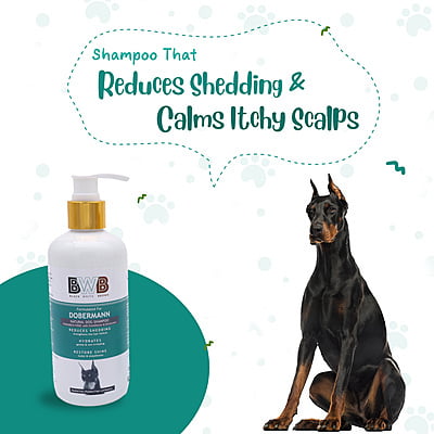 BWB DOBERMANN SHAMPOO BWB DOBERMANN SHAMPOO