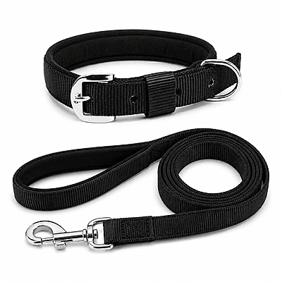 Nylon Dog Collar(padded) with leash Nylon Dog Collar(padded) with leash