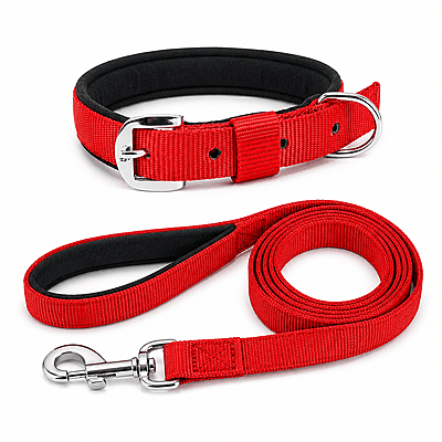 Nylon Dog Collar(padded) with leash Nylon Dog Collar(padded) with leash