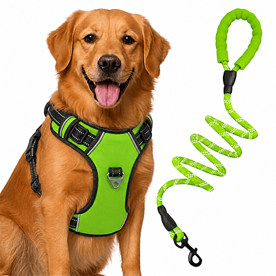 Premium No-Pull Dog Harness with Leash- Neon Green