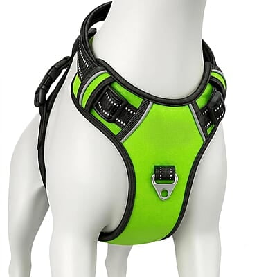 Premium No-Pull Dog Harness with Leash- Neon Green Premium No-Pull Dog Harness with Leash- Neon Green