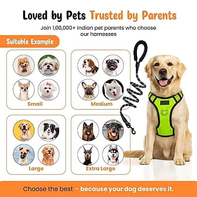Premium No-Pull Dog Harness with Leash- L- Orange Premium No-Pull Dog Harness with Leash- L- Orange